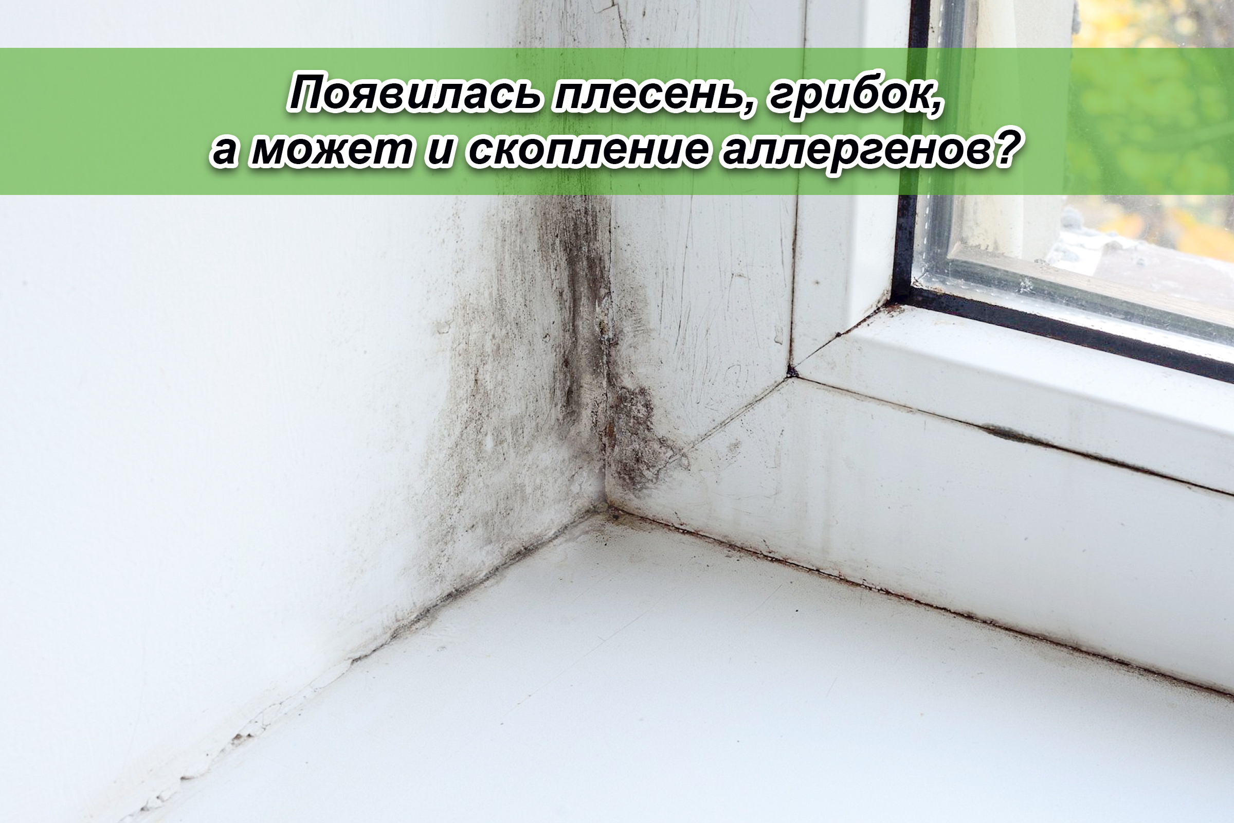 Появилась плесень, грибок, а может и скопление аллергенов?